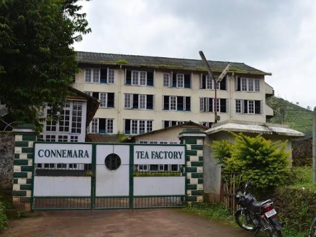Cassells Jungle Resorts Thekkady Vandiperiyār Exterior foto